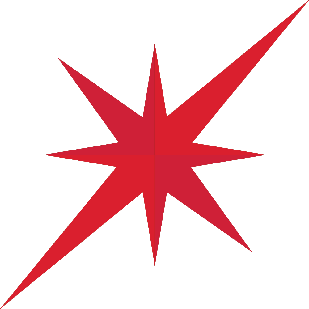 Stellar Vector Logo